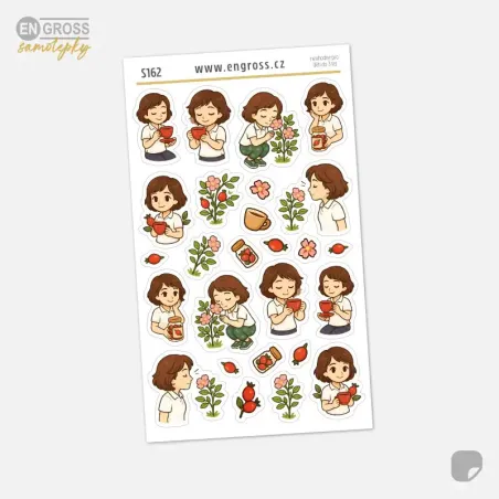 Arch mini samolepek Brunetka a šípkový čaj, šípky a šípkový keř.