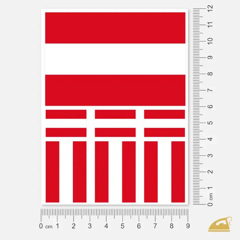 Nažehli si rakouské vlajky na tričko nebo mikinu a fandi.