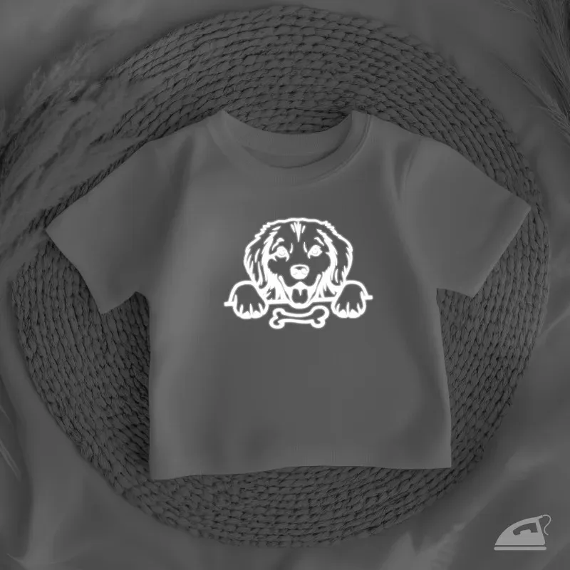 Reflexní nažehlovačka Pes Labrador – velký motiv pro zvýšení viditelnosti za tmy a šera.