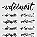 Samolepky do diáře VDĚČNOST – Kaligrafické nápisy ve dvou velikostech pro větší variabilitu v diáři.