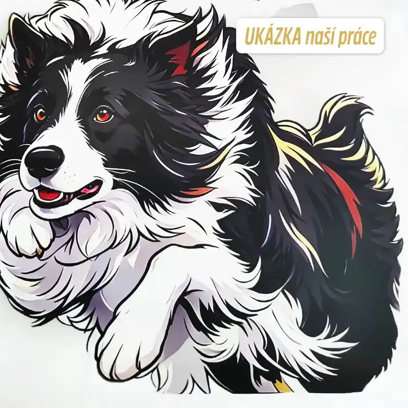 DTF barevný potisk na přání zákazníka - ukázka naší práce.